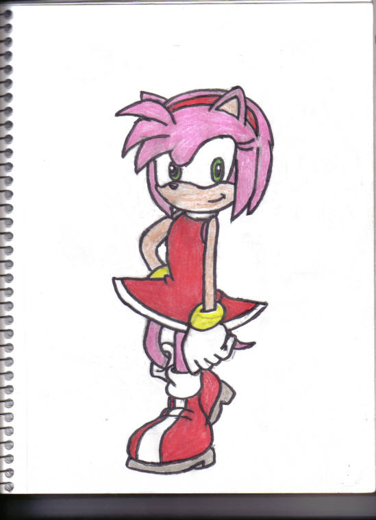 Amy Rose by SSonicSShadow