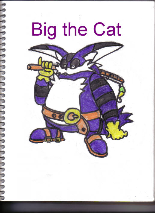 Big the Cat by SSonicSShadow