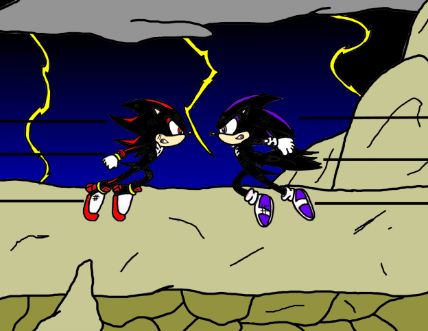 Shadow & Raven fighting ( request from Raven02) by SSonicSShadow