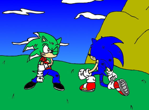 Sonic & Ty fighting( request from tyedyemonster) by SSonicSShadow