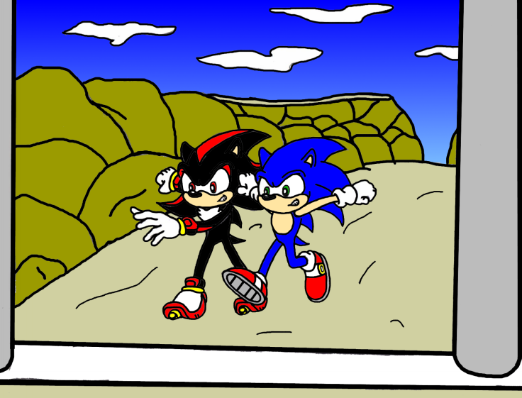 Sonic & Shadow Racing( request from Reiokeofthedam by SSonicSShadow