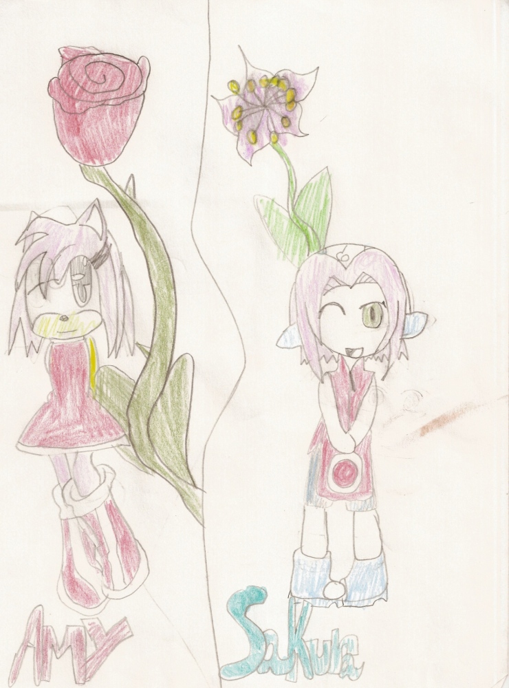 Sakura and Amy by SageCardcaptor