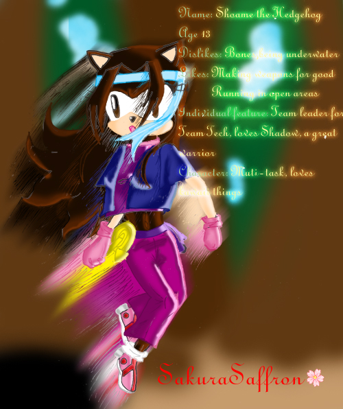 STH: My sonic character again by SakuraSaffron