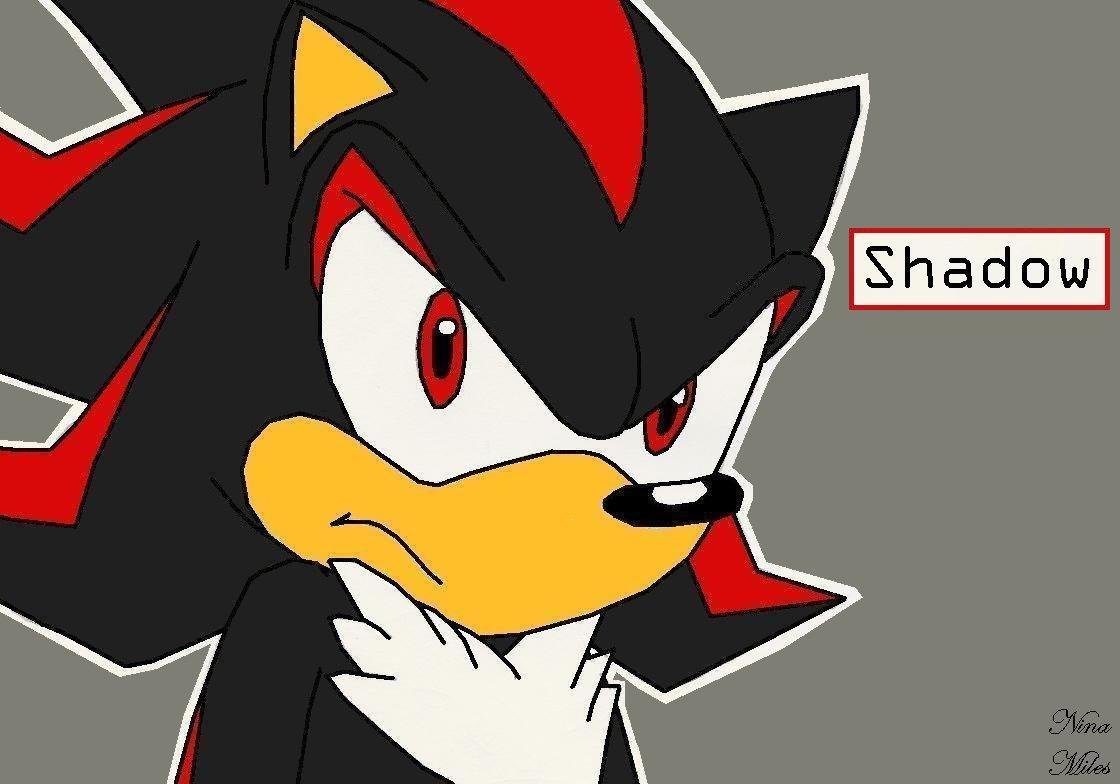 Shadow! *Request for kaylaleague* by Sakura_the_Wolf