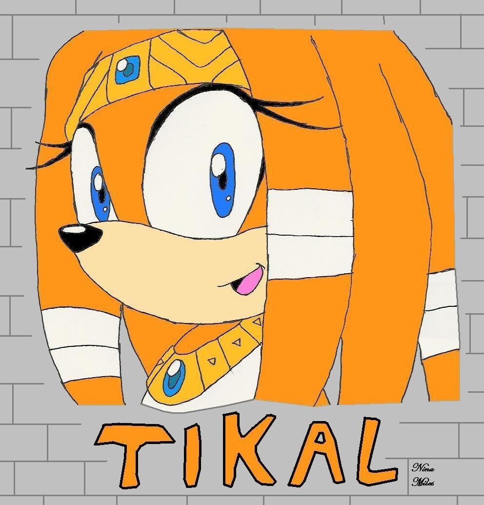 Tikal the Echidna *Request for Boltbendergirl* by Sakura_the_Wolf