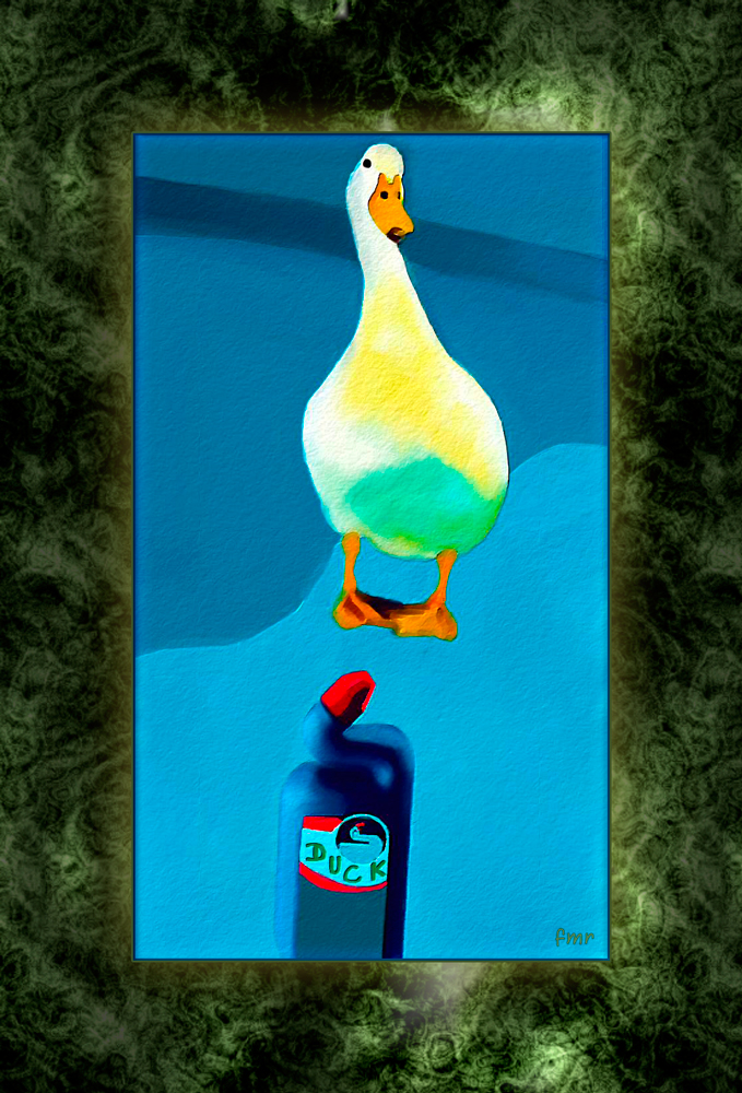 Dumb Duck by Saltwater