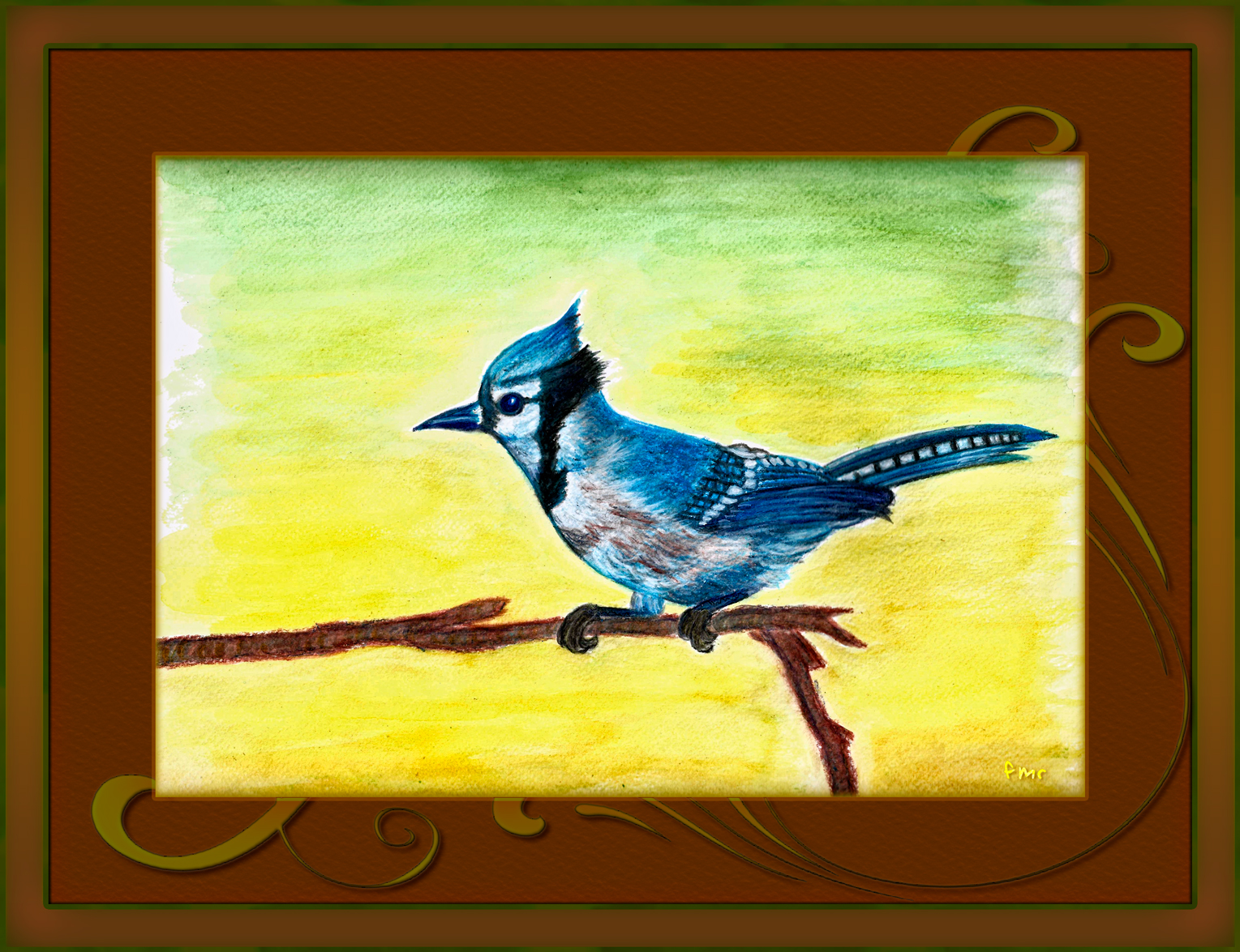 Blue Jay by Saltwater