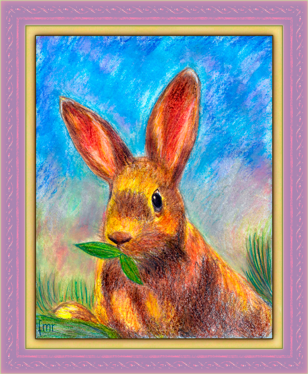 Rabbit by Saltwater