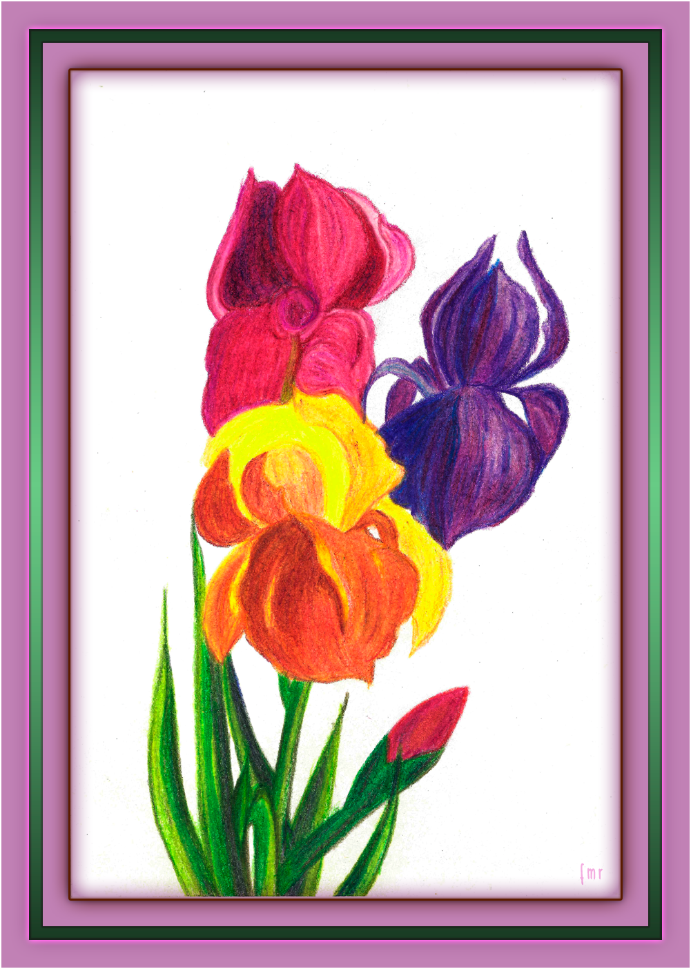 Irises by Saltwater