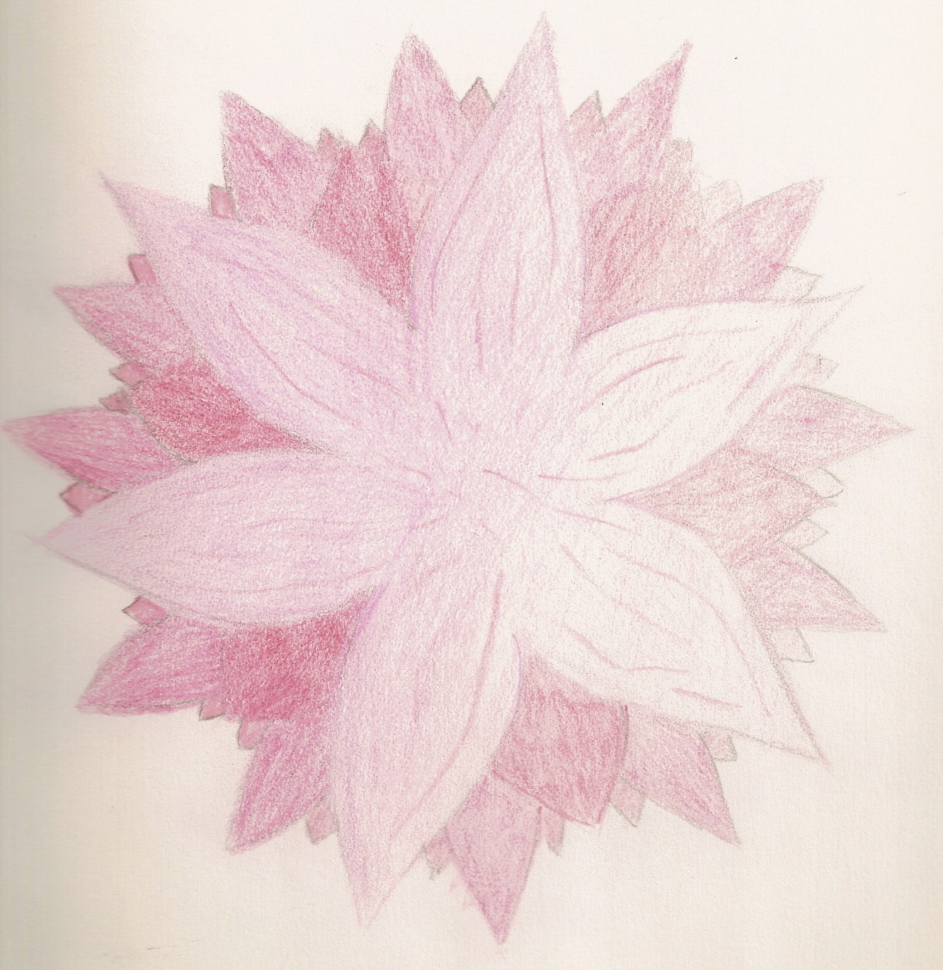 Pink Flower by SapphirePaint