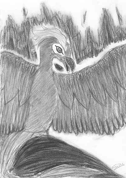 Phoenix in charcoal by Sapphire_Angels_Devil