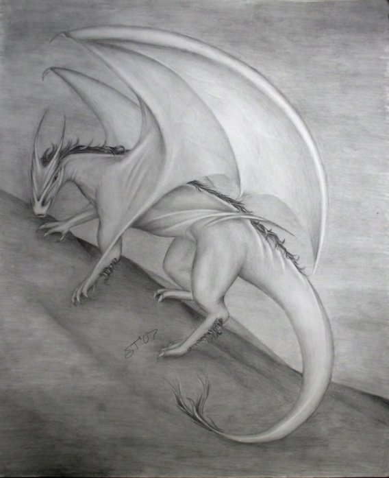 Dragon: See Winged Komodo by Sardave