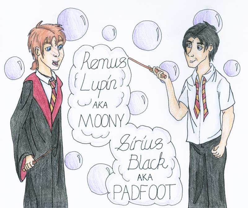 Remus & Sirius by SazZat