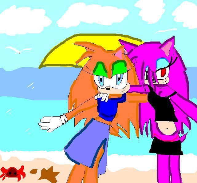 Me and my Friend on the beach by ScarletTheGuardianHedgehog