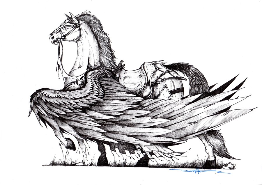 Armoured Pegasus Concept by Schwarze1