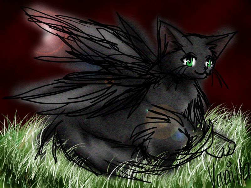 Kitty + Wings by ScribbleArt
