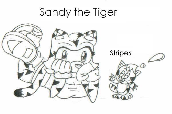 Sandy the Tiger and Stripes the Chao by Seiyora_Dragona