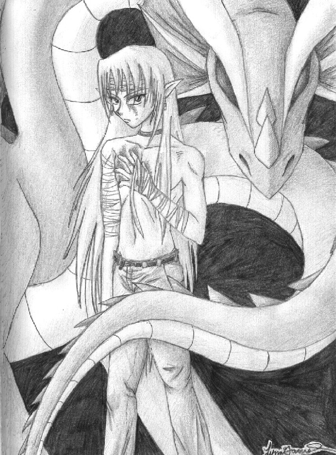 Bishounen and Dragon by SenayDragon