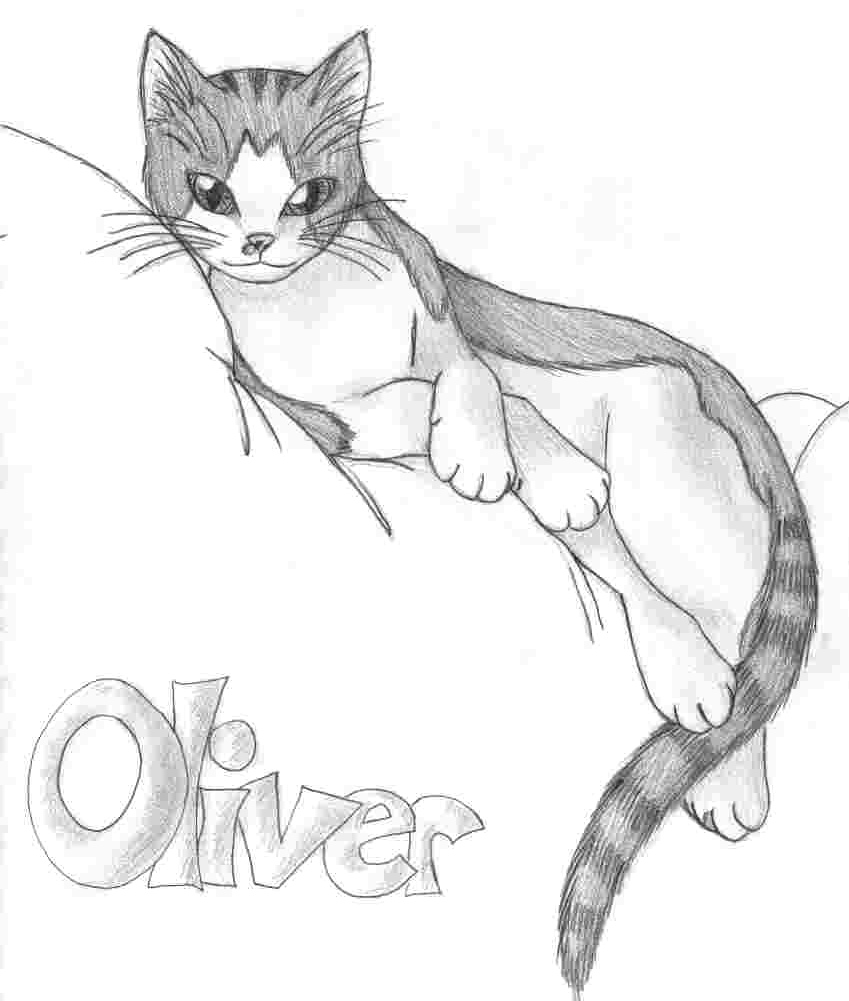 My Kitty Oliver by SenayDragon
