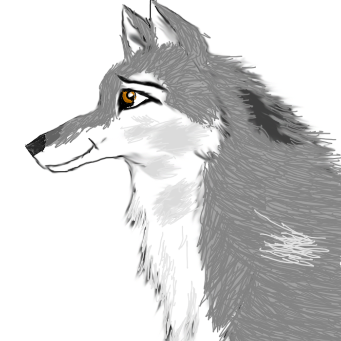 Try  on realistic wolf #1 by Serra20