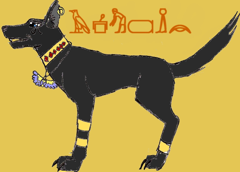 Anubis(NOT THE EYGPTIAN GOD by Setofan93