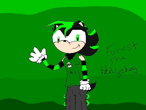 FTH(requested by Forest the hedgehog) by Shadamy4eva