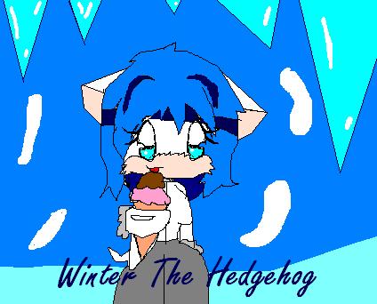 Winter The Hedgehog by Shades_the_Hedgehog