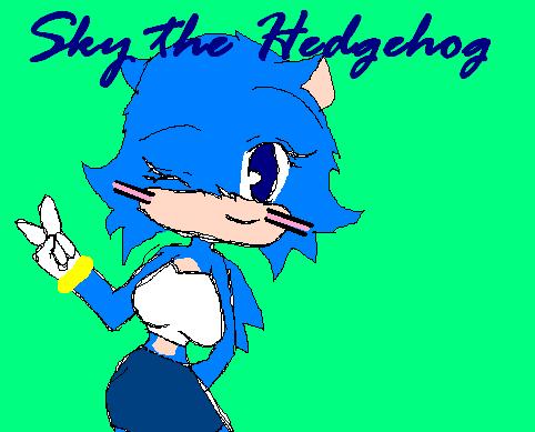 Sky the Hedgehog *request ChaosCollision* by Shades_the_Hedgehog