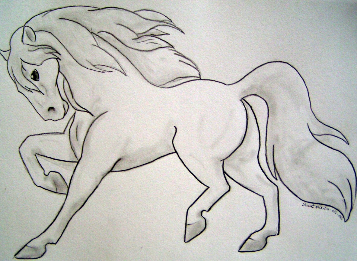 Running Lusitano Stallion by ShadinaLonesea