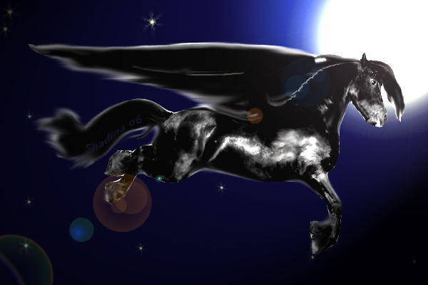 Dark Pegasus by ShadinaLonesea