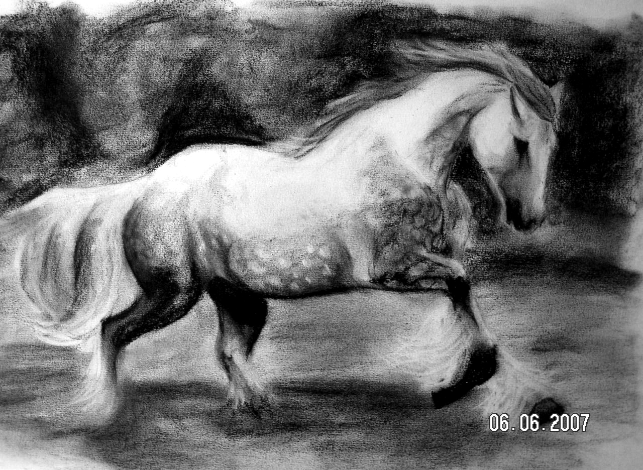Shire Horse (By my sister) by ShadinaLonesea
