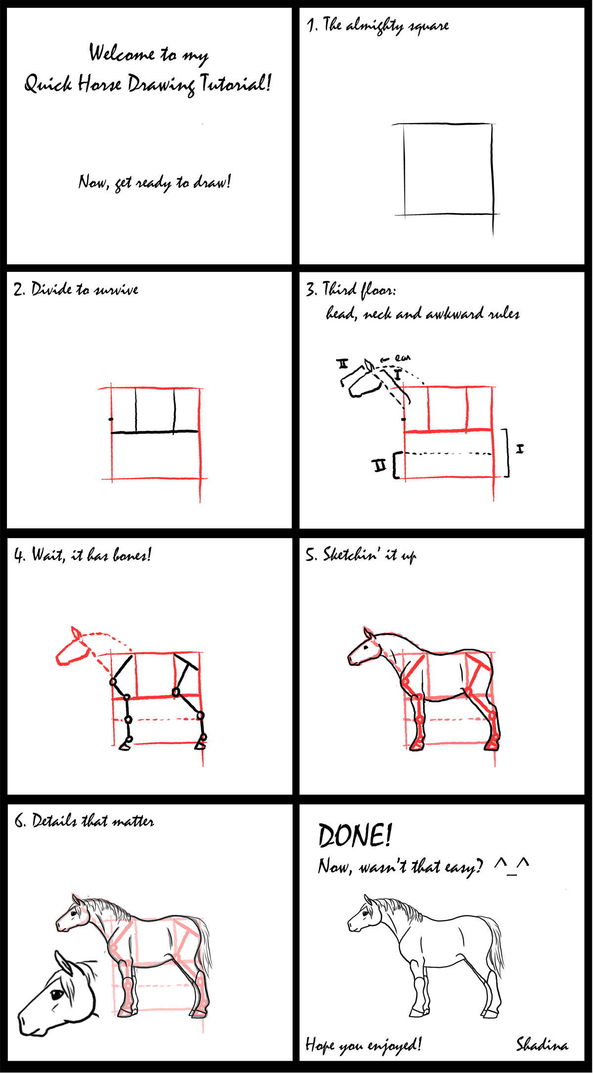 Quick Horse Drawing Tutorial by ShadinaLonesea