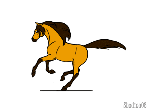 Gallop! (animation) by ShadinaLonesea