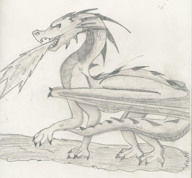 Angry dragon by ShadowDragon2