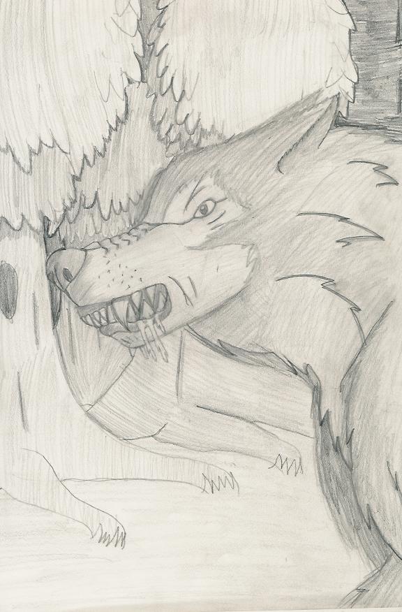 A Wolf by ShadowDragon2