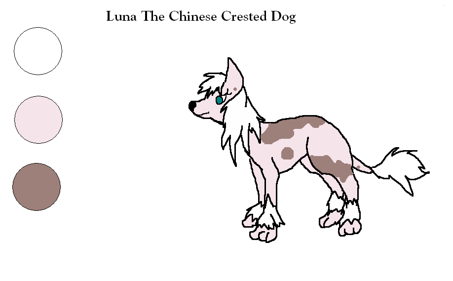 Luna the chinese crested by ShadowFox118