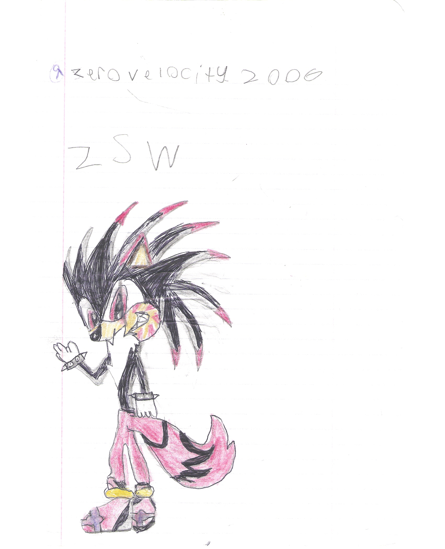 First design of zsw by ShadowHedgehog