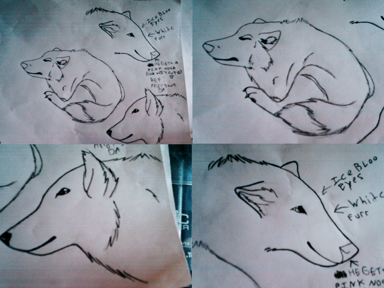 Wolf Practice by ShadowHedgehog