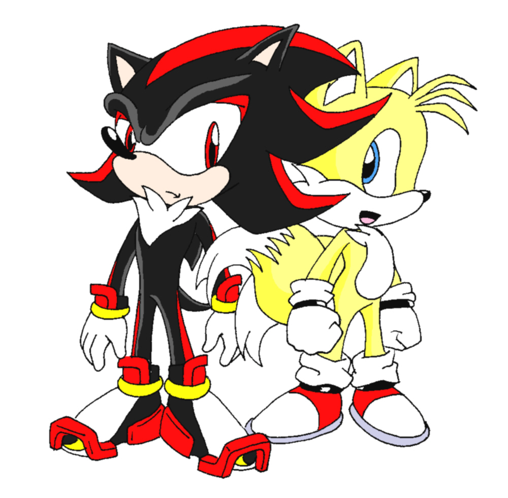 Shadow and Tails (gift for Maluxia1445679011) by ShadowLink_350