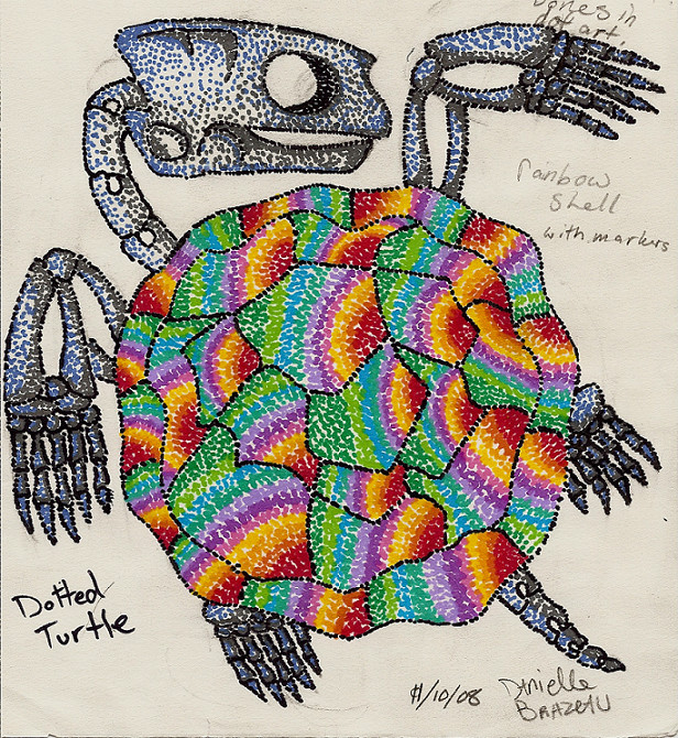 dotted turtle by ShadowMagic