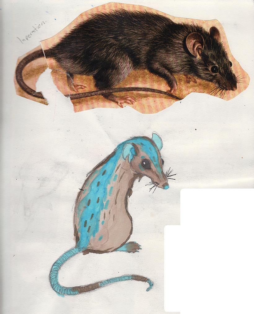 Rat Watercolor picture by ShadowMagic