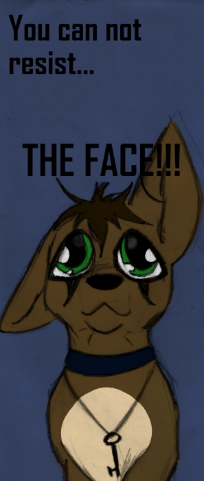 TEH FACE!!!!! by ShadowMantis