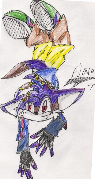 nova the polecat by Shadow_And_Knux_combined