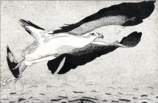 Pointillism Sea Eagle by Shadow_of_the_doubt_Dechibinat