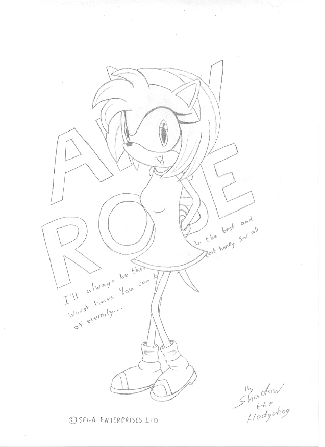 Amy Rose by Shadow_the_Hedgehog