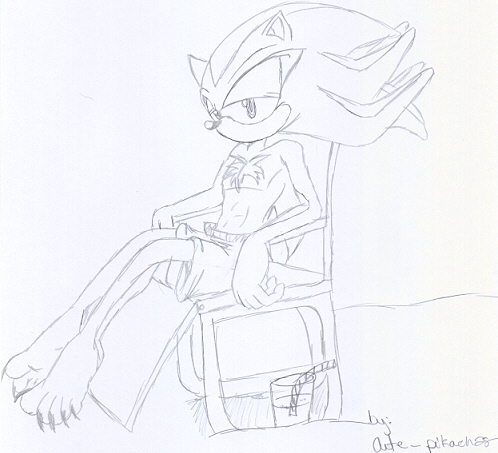 Shadow on the beach....with muscles *drools* sorry by Shadow_the_Hedgehog_4ever