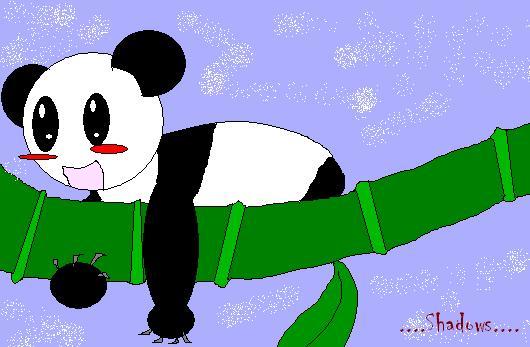 Panda *gift* by Shadows