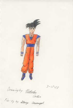 Goku by Shadowstalker