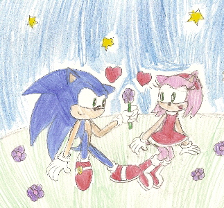 Sonamy for Anya_the_aroura_wolf_dragon by Shadowthe_hedgehog