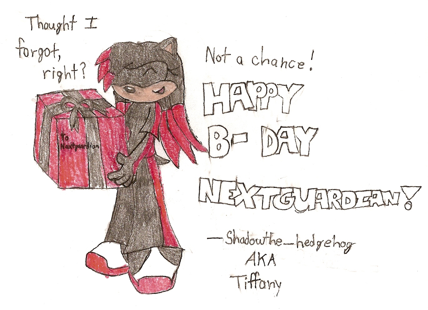 Happy B-day nextguardian by Shadowthe_hedgehog